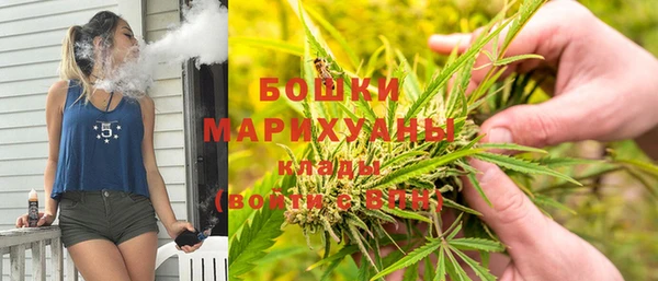 ГАЛЛЮЦИНОГЕННЫЕ ГРИБЫ Пролетарск